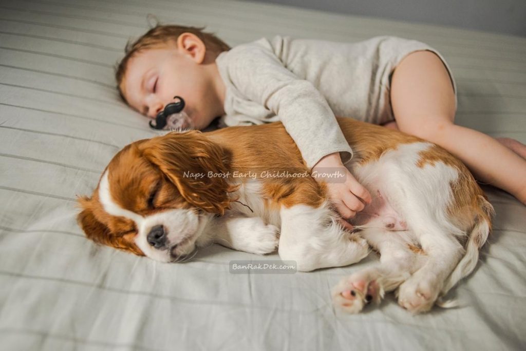 Naps Boost Early Childhood Growth