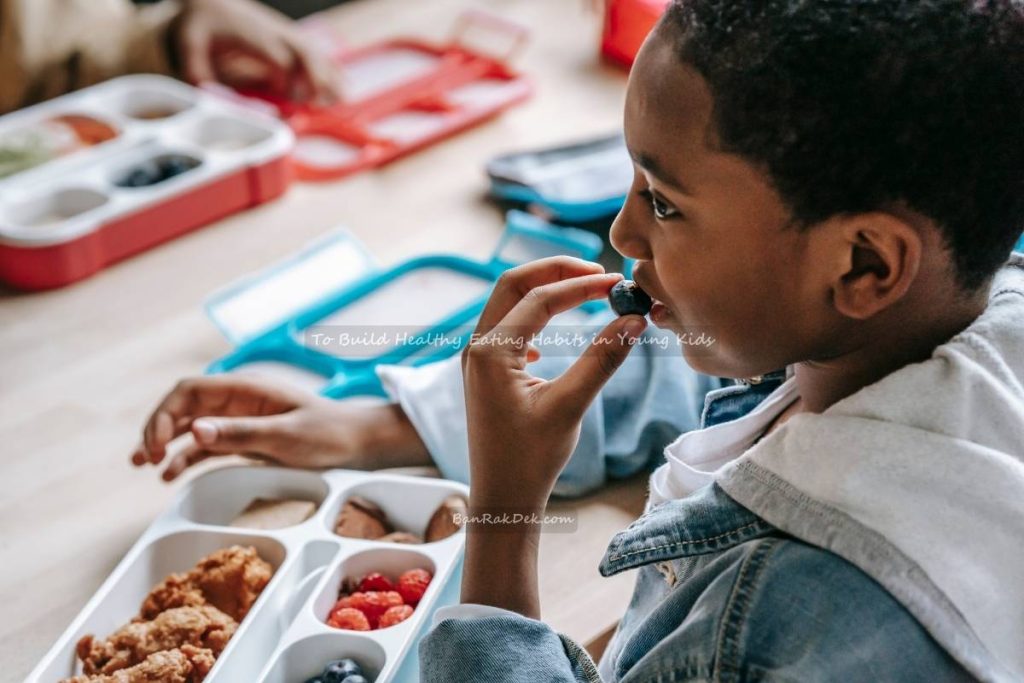 To Build Healthy Eating Habits in Young Kids (4) To Build Healthy Eating Habits in Young Kids