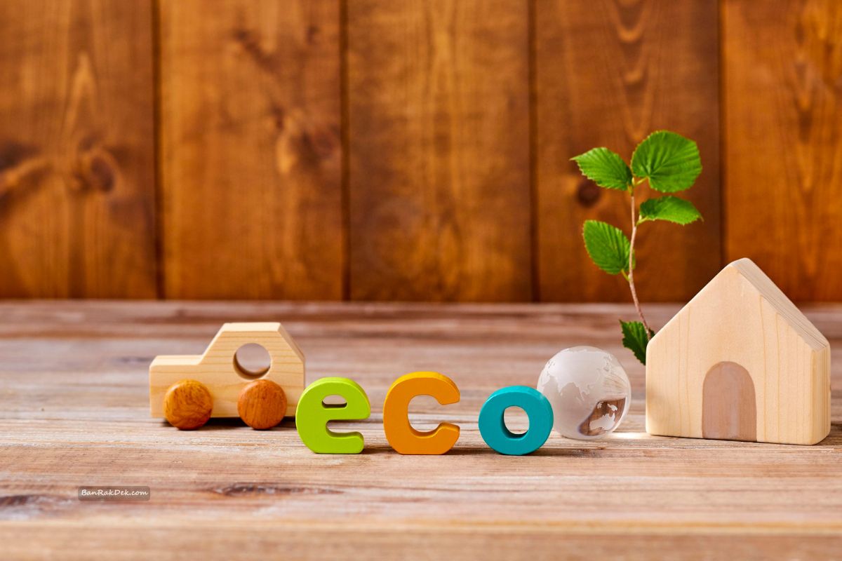 Home 59 Featured Best Eco Friendly Toys for Kids