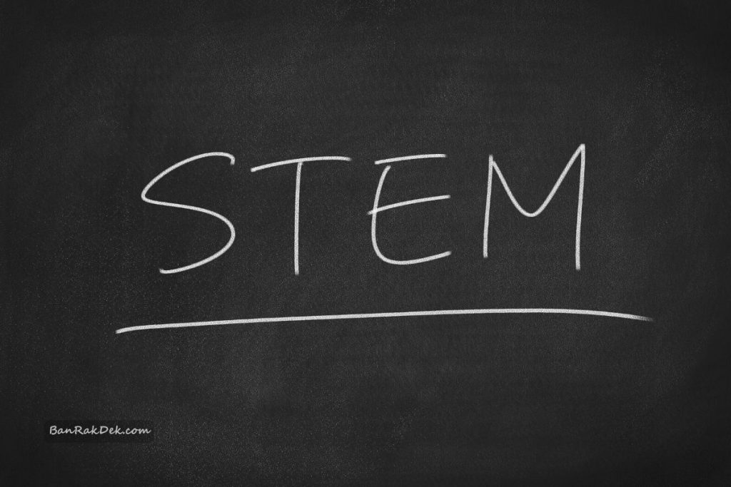 STEM Toys for Early Childhood Development from Infancy