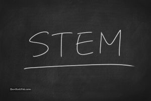 STEM Toys for Early Childhood Development from Infancy